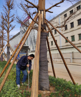 现场土壤根系观察