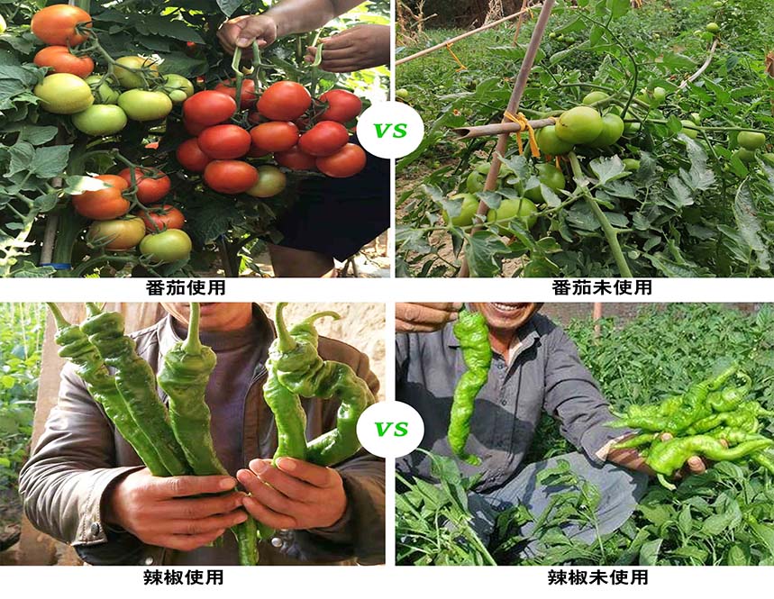 健慈生根水溶肥