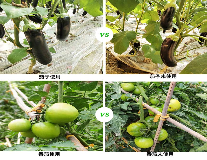 使用效果 使用效果