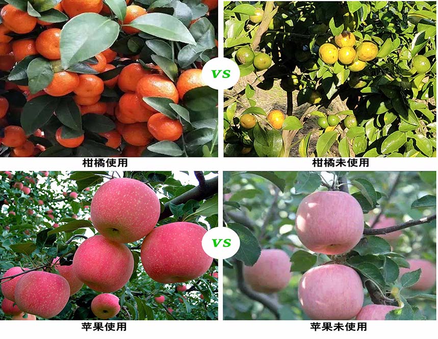使用效果对比 使用效果对比
