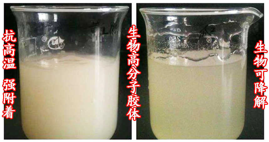 抗蒸腾抑制剂