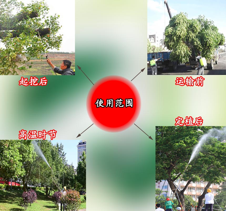 园林养护