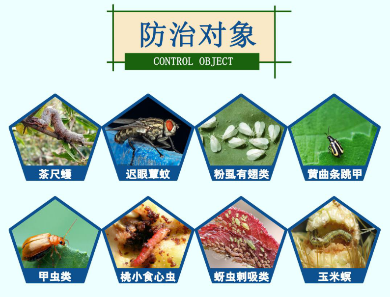 食叶害虫