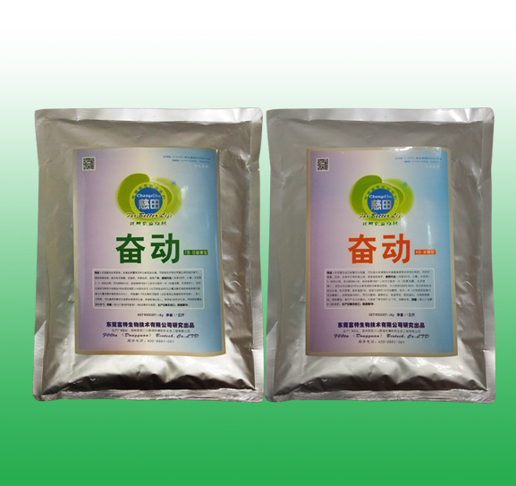 奋动组合