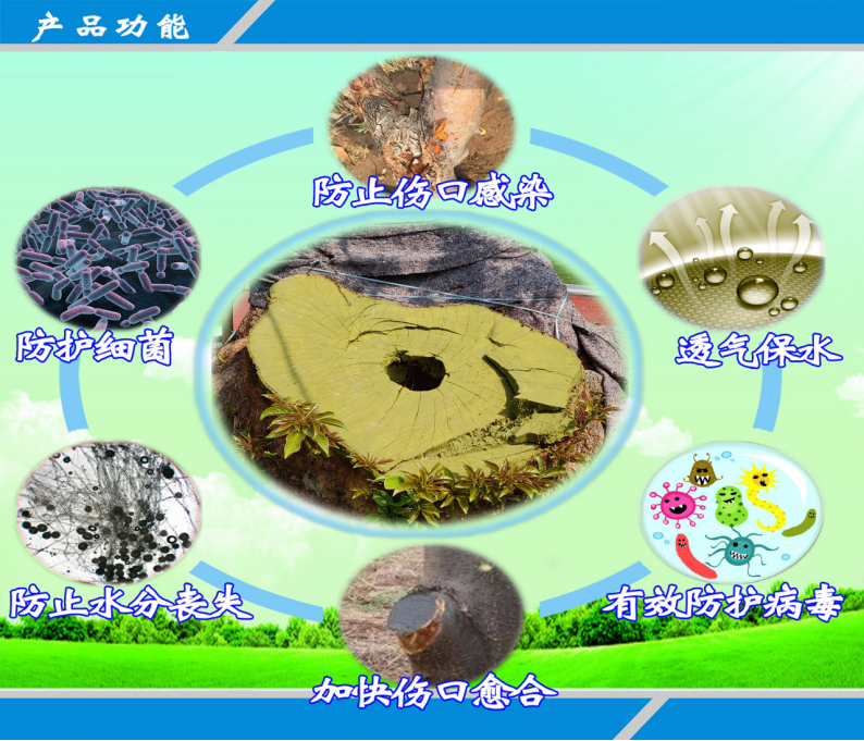树衣