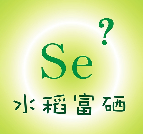 水稻富硒技术